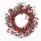 Worth Imports 22" Red Holly Berry and Green Leaves Artificial Christmas Wreath on Natural Twig Base